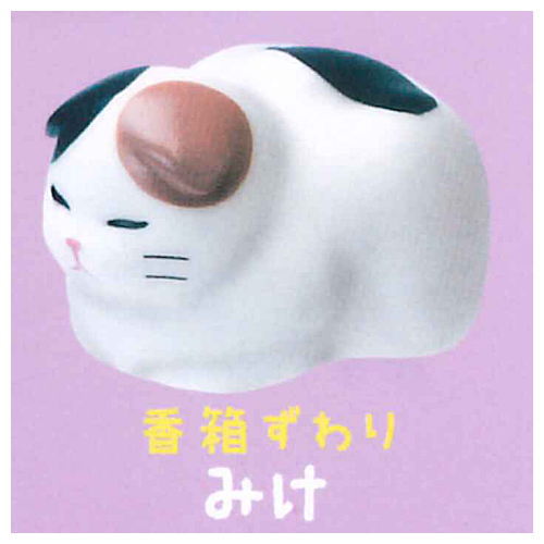 Yawamocchi Koneko [6.Catloaf sitting Mike]