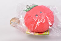 Tsuburanahitomino Bento Box Nuigurumi A team [4.Cherry tomato]