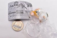 Hamtaro Narabundesu. Techitechi daikoushin nanoda! Part.2 [5.Sandy]