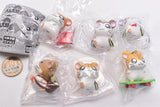Hamtaro Narabundesu. Techitechi daikoushin nanoda! Part.2 [All 6 type set (Full Complete)]