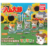 Hamtaro Narabundesu. Techitechi daikoushin nanoda! Part.2 [All 6 type set (Full Complete)]