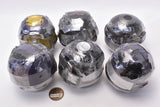 Integrate model Mazinger Z clear body MIX ver. [All 6 type set(Full Complete)]