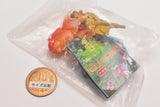 Goldfish 3D picture book Full colored figure [2.Oranda]