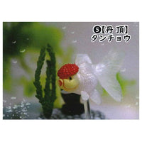 Goldfish 3D picture book Full colored figure [5.Red-crowned crane]