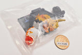 Goldfish 3D picture book Full colored figure [6.Ranchu]