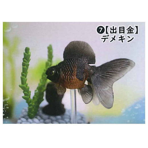 Goldfish 3D picture book Full colored figure [7.Telescope]