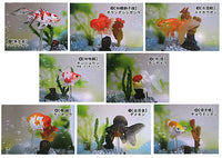 Goldfish 3D picture book Full colored figure [All 8 type set(Full Complete)]