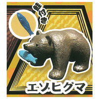 Bearing bear [1.Brown bear]