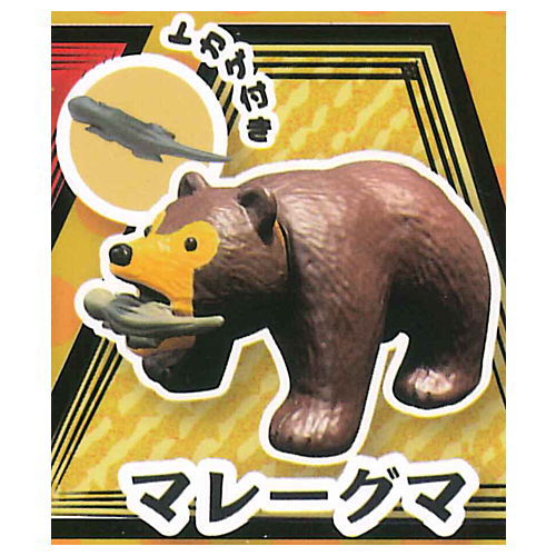 Bearing bear [3.Sun bear]