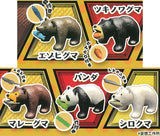 Bearing bear [All 5 type set (Full Complete)]