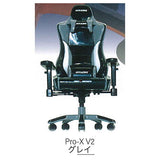 AKRacing 1/12 Pro-X V2 Vol.II [4.Gray]