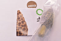 Nature Techni colour MONO PLUS Mushroom soft mascot [5.Amigasatake]