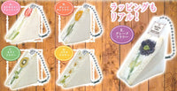 Miniature Fruit Sandwich BC [All 5 type set (Full Complete)]