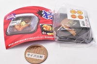 Super Precision Resin Clay Souzai Part.2 in clear case [1.Sabanomisoni]