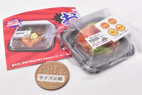 Super Precision Resin Clay Souzai Part.2 in clear case [2.Nikujaga]
