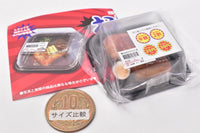 Super Precision Resin Clay Souzai Part.2 in clear case [3.Butanokakuni]