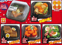 Super Precision Resin Clay Souzai Part.2 in clear case [All 5 type set (Full Complete)]