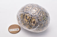 Turtle 05 Gashapon [3.Leopard Turtle (Juvenile)]