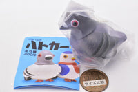 Pullback Hatocar Part.4 [3.Race Hatocar (bird band)]
