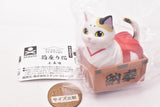 Animal attraction box sitting cat [2.Saisenbako sitting]