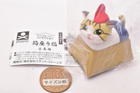 Animal attraction box sitting cat [3.Vaulting box sitting]