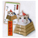 Animal attraction box sitting cat [3.Vaulting box sitting]