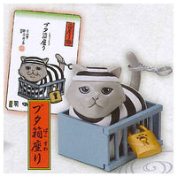 Animal attraction box sitting cat [4.Butabako sitting]