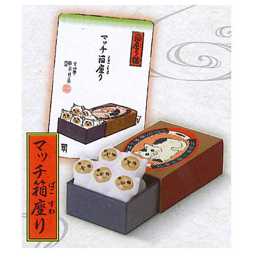 Animal attraction box sitting cat [5.Matchbox sitting]