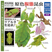 Primary color pictorial book series Primary color mimicry insects [All 4 type set (Full Complete)]