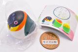 Parakeet Daruma Mascot [4.Black-headed parrot]