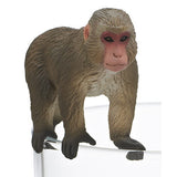 PUTITTO Japanese macaque [3.Quadrupedal walking]