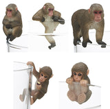 PUTITTO Japanese macaque [All 5 type set(Full Complete)]