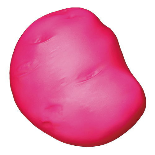 TAMA-KYU Capsule Potato [2.Andes red]