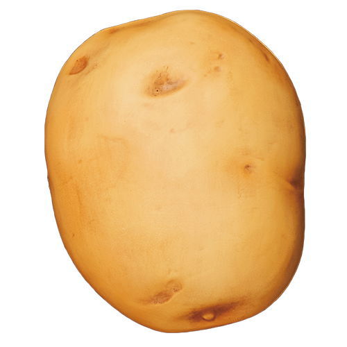 TAMA-KYU Capsule Potato [3.Inca no Mezame]