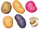 TAMA-KYU Capsule Potato [All 5 type set (Full Complete)]