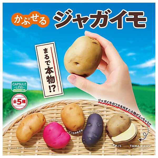 TAMA-KYU Capsule Potato [All 5 type set (Full Complete)]