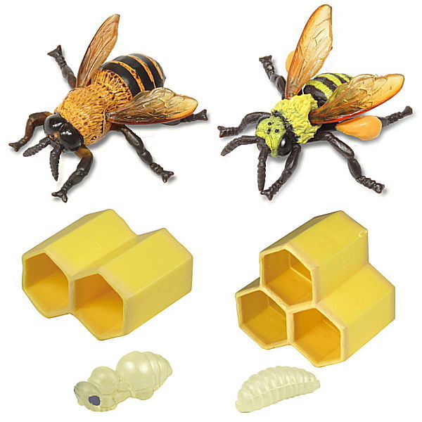 Hani2 Supervised by Mr. Motooka Bee [Assorted 4 type set (2.Drone bee/3.Worker bee/4.Chrysalis & beehive 2 holes/5.Larva & beehive 3 holes)]