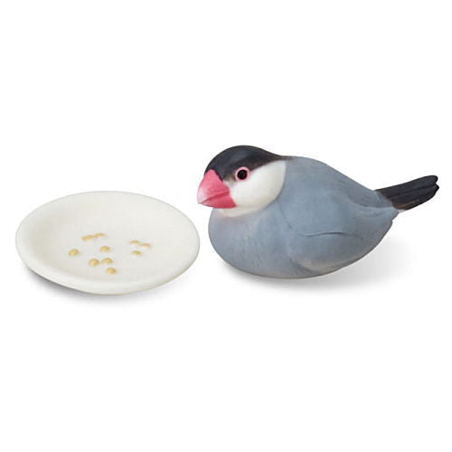 Java sparrow life [2.Full stomach (Sakura Java sparrow)]