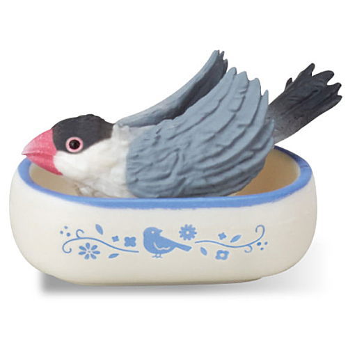 Java sparrow life [4.Bathing (Sakura Java sparrow)]