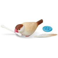 Java sparrow life [6.Naughty (Cinnamon Java sparrow)]