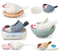 Java sparrow life [All 6 type set (Full Complete)]