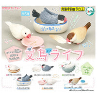 Java sparrow life [All 6 type set (Full Complete)]