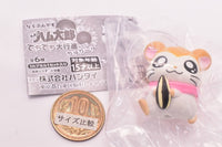 Hamtaro Narabundesu. Techitechi daikoushin nanoda! Part.3 [2.Pashmina]