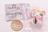Hamtaro Narabundesu. Techitechi daikoushin nanoda! Part.3 [2.Pashmina]
