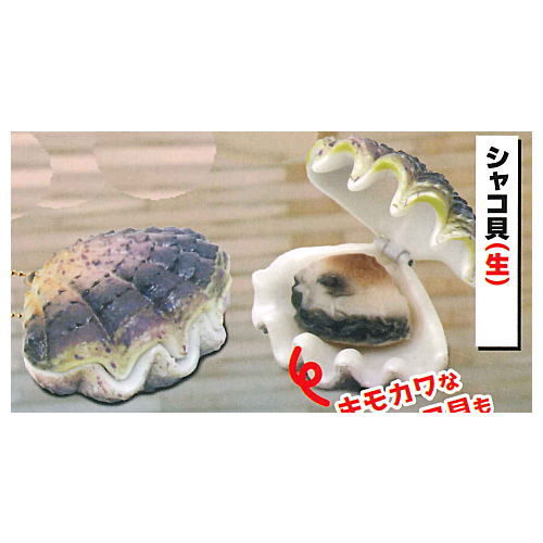 Open !! With lid Punyu Punyu shellfish mascot Part.3 Edomae new specialty appeared !? [5.Tridacna (raw)]