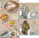Open !! With lid Punyu Punyu shellfish mascot Part.3 Edomae new specialty appeared !? [All 5 type set(Full Complete)]