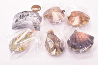 Open !! With lid Punyu Punyu shellfish mascot Part.3 Edomae new specialty appeared !? [All 5 type set(Full Complete)]
