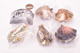Open !! With lid Punyu Punyu shellfish mascot Part.3 Edomae new specialty appeared !? [All 5 type set(Full Complete)]