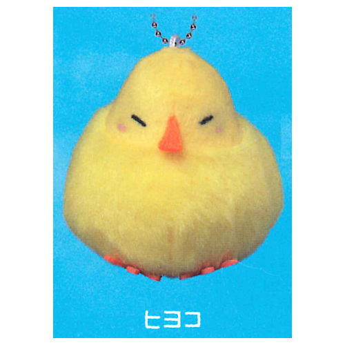 Manmaru?! Kotorichan mascot [3.Chick]