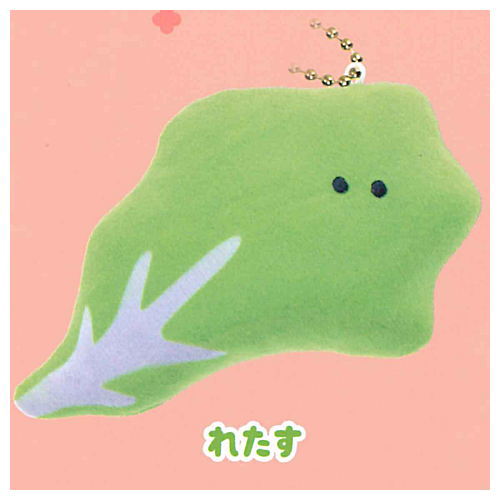 Tsuburanahitomino Osozai PM5: 00 [4.Lettuce]